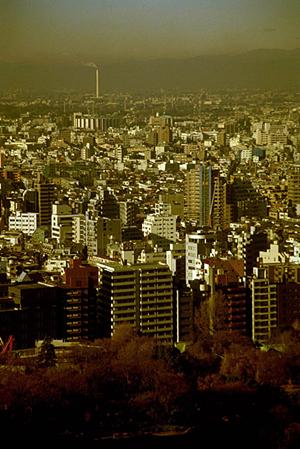 仮設足場工事で高い評価を受ける会社とは