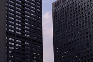 別府でのペット可賃貸の希望について