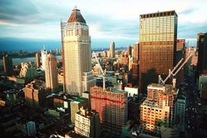 2025年最新版：アドベンチャーパークの安全対策と利用者必見のポイント